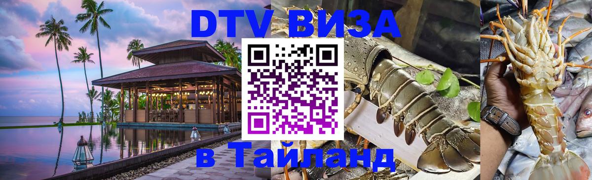 Оформление DTV визы под ключ: стоимость и тарифы, только загранпаспорт - 